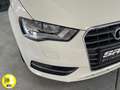 Audi A3 1.6TDI Attraction EEL S-Tronic Bianco - thumbnail 13