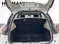 Renault ZOE R110/Z.E. 50 (Miet-Batterie) Life LED*LED Blanc - thumbnail 6