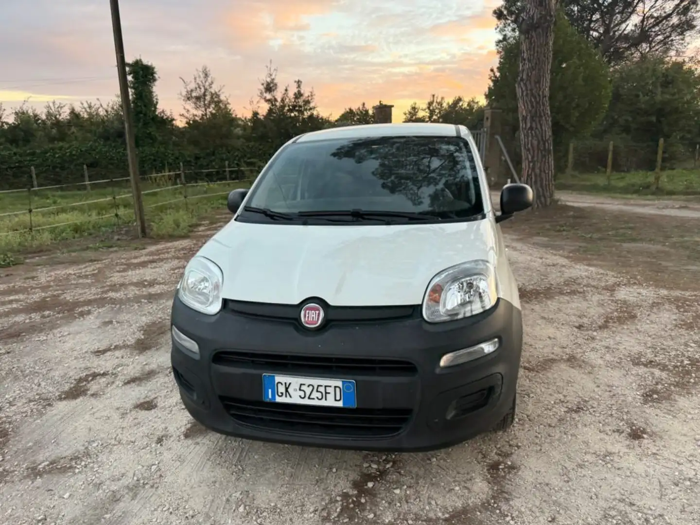 Fiat Panda 1.0 Hybrid Pop VAN 2 posti Blanc - 2