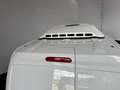 Renault Kangoo E-TECH geisoleerd incl thermo king -/- 15 gr KWH 44 Weiß - thumbnail 21