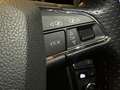 SEAT Leon 1.0 TSI FR Ultimate Edition Virtual /Camera Rojo - thumbnail 21