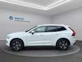 Volvo XC60 D4 Momentum Pro Geartronic Weiß - thumbnail 9