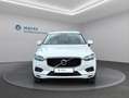Volvo XC60 D4 Momentum Pro Geartronic Weiß - thumbnail 3