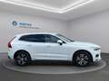 Volvo XC60 D4 Momentum Pro Geartronic Weiß - thumbnail 5
