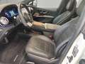 Mercedes-Benz 53 AMG 4M+ DRIVERS+NIGHT+PANO+PREM-PLUS+360° Weiß - thumbnail 5