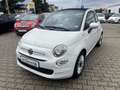 Fiat 500C 1.0 Cabrio DolceVita Klima*Carplay*Tempomat Wit - thumbnail 1