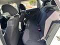 Volkswagen Polo Polo 1.4 Diesel Neopatentati Bianco - thumbnail 9