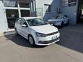 Volkswagen Polo Polo 1.4 Diesel Neopatentati Blanc - thumbnail 2