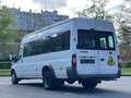 Ford Transit Bus TRANSIT 9 PLACES - BRUIT MOTEUR Blanco - thumbnail 4