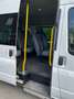 Ford Transit Bus TRANSIT 9 PLACES - BRUIT MOTEUR Blanco - thumbnail 8