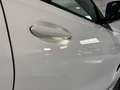 BMW X6 xDrive 30dA Weiß - thumbnail 20