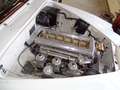 Jaguar MK II LHD 3.8 Blanco - thumbnail 15