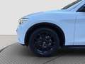 Alfa Romeo Stelvio 2.2 190cv B-Tech Q4 2019 Blanc - thumbnail 6