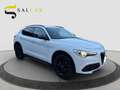 Alfa Romeo Stelvio 2.2 190cv B-Tech Q4 2019 Blanc - thumbnail 16