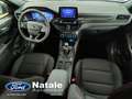 Ford Kuga Kuga 1.5 Ecoblue ST-Line 120cv Block Shaft Grigio - thumbnail 12
