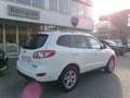 Hyundai SANTA FE Santa Fe 2.2 CRDi VGT 4WD Style Weiß - thumbnail 3