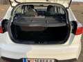Kia Rio Rio 1,2 MPI Titan Titan Weiß - thumbnail 5