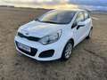 Kia Rio Rio 1,2 MPI Titan Titan Weiß - thumbnail 12