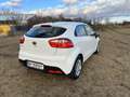 Kia Rio Rio 1,2 MPI Titan Titan Weiß - thumbnail 3
