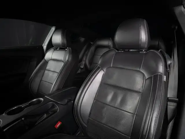 Ford Mustang view 11