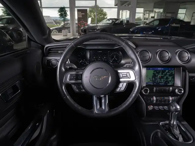 Ford Mustang view 12