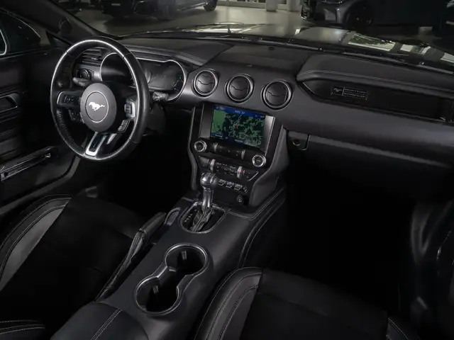 Ford Mustang view 15