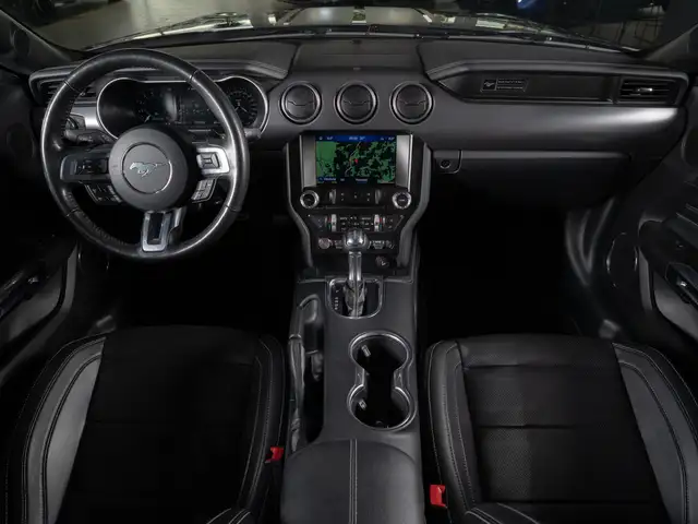 Ford Mustang view 13