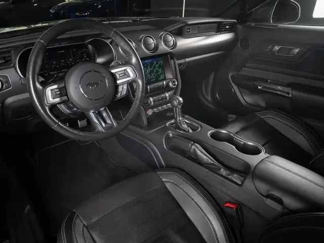 Ford Mustang view 10
