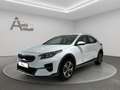 Kia XCeed DSG LED KAM KLIMA NAV PARK SHZ TEMP 1.HAND Білий - thumbnail 3