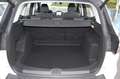 Ford Kuga Kuga 1.5 EcoBoost 2x4 Titanium Weiß - thumbnail 3