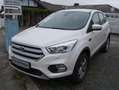 Ford Kuga Kuga 1.5 EcoBoost 2x4 Titanium Weiß - thumbnail 5