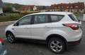 Ford Kuga Kuga 1.5 EcoBoost 2x4 Titanium Weiß - thumbnail 4