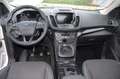Ford Kuga Kuga 1.5 EcoBoost 2x4 Titanium Weiß - thumbnail 13