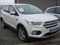 Ford Kuga Kuga 1.5 EcoBoost 2x4 Titanium Weiß - thumbnail 6