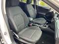 Ford Focus Lim. Active X 2.Hd.|Keyless|Kam|ACC Weiß - thumbnail 19