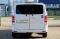 Mercedes-Benz Vito Kasten 116 CDI MEGA EXTRAS Weiß - thumbnail 6