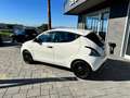 Lancia Ypsilon Ypsilon 1.0 firefly hybrid Silver Blanc - thumbnail 4