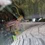 Nissan Navara Double Cab Navara LE 2,5 16V 4x4 LE Schwarz - thumbnail 7