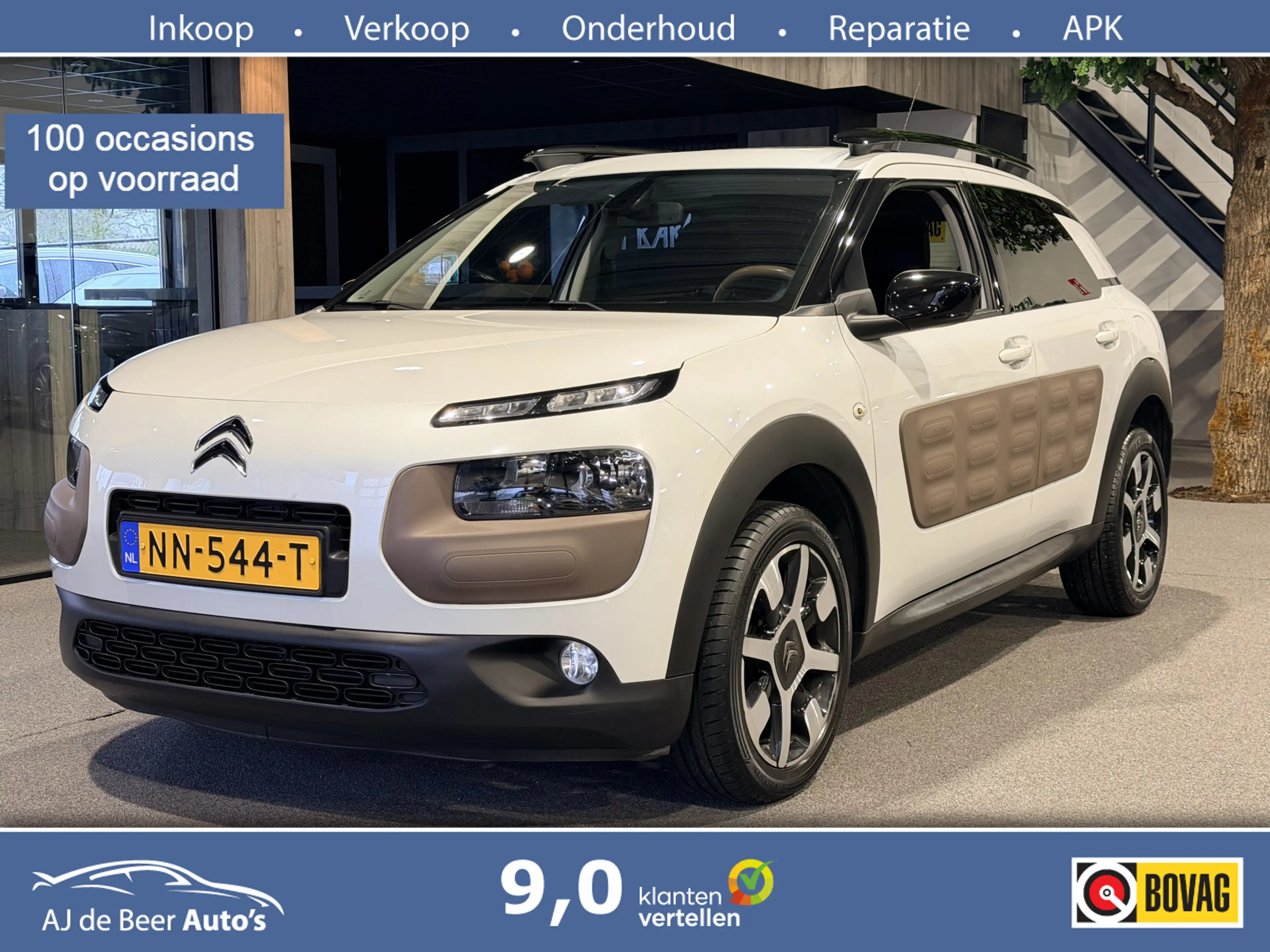 Citroen C4 Cactus 1.2 PureTech Business Plus Panorama | Camera | Nav