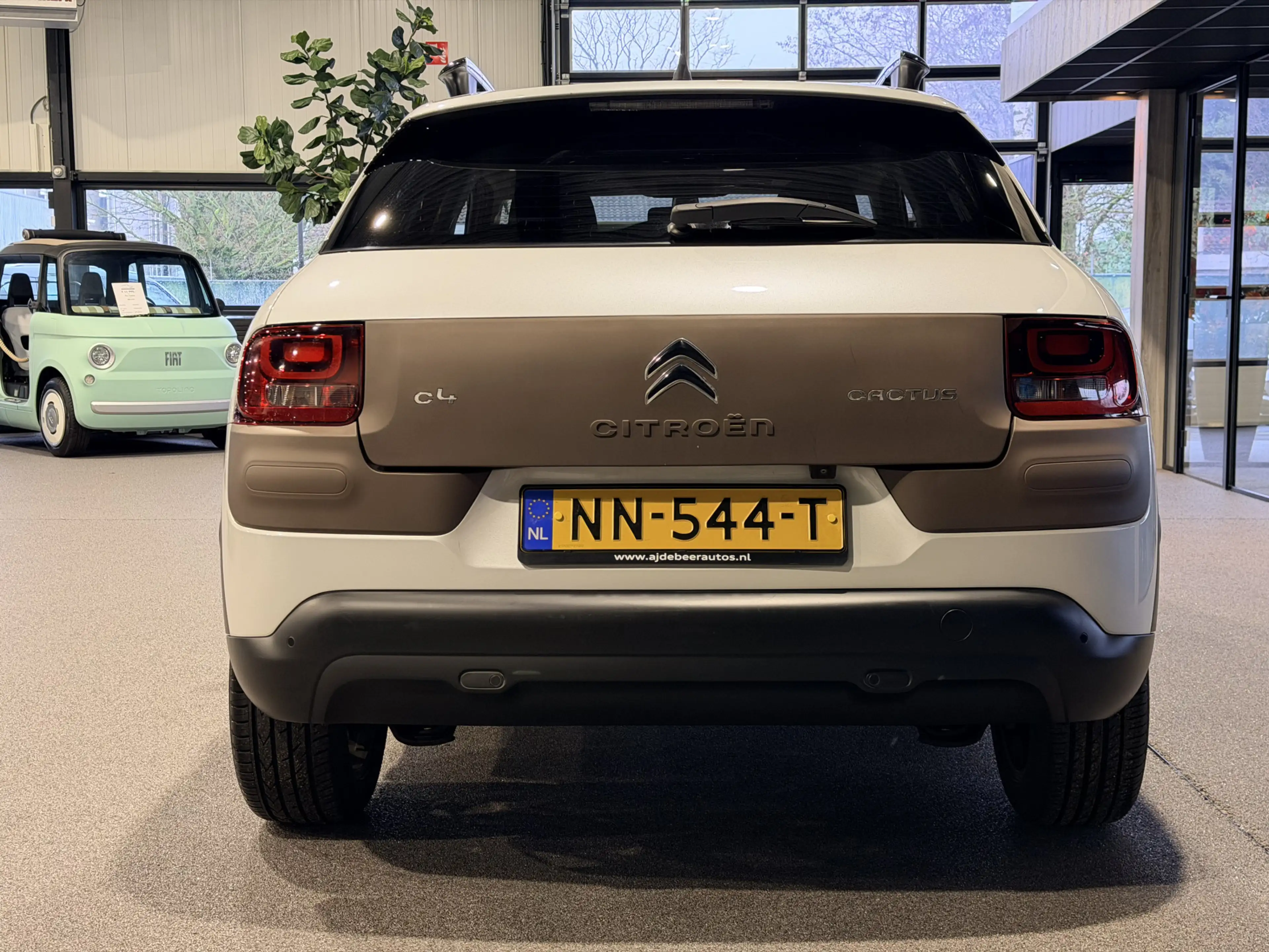 Citroen C4 Cactus 1.2 PureTech Business Plus Panorama | Camera | Nav — photo 30