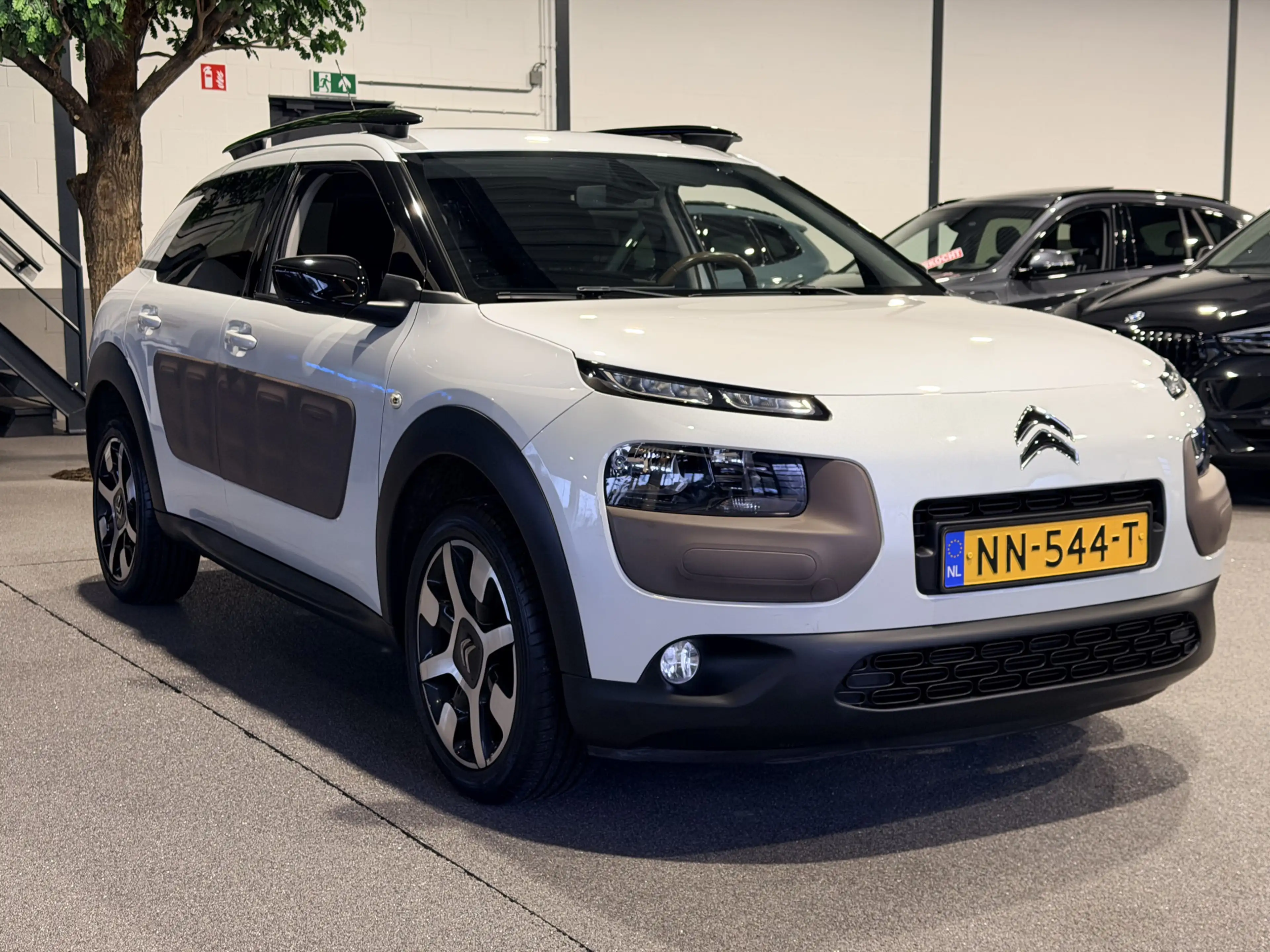Citroen C4 Cactus 1.2 PureTech Business Plus Panorama | Camera | Nav — photo 5