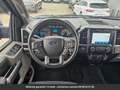 Ford Sonstige SuperCrew 4x4 Tout compris hors homologation 4500e Blau - thumbnail 8
