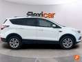 Ford Kuga 1.5 EcoBoost Trend FWD 120 Blanco - thumbnail 9