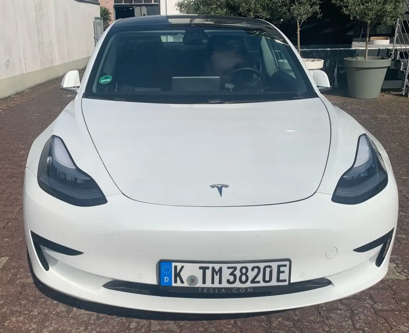 Tesla Model 3 Standard Range+ * 19 Zoll * Weiß - 1