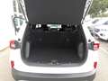 Ford Kuga Titanium Weiß - thumbnail 18