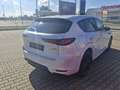 Mazda CX-60 2.5L e-Skyactiv PHEV HOMURA Vollausstattung mit AH Weiß - thumbnail 7