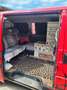 Volkswagen T4 Caravelle Vw t4 camper Syncro TDI Rouge - thumbnail 6