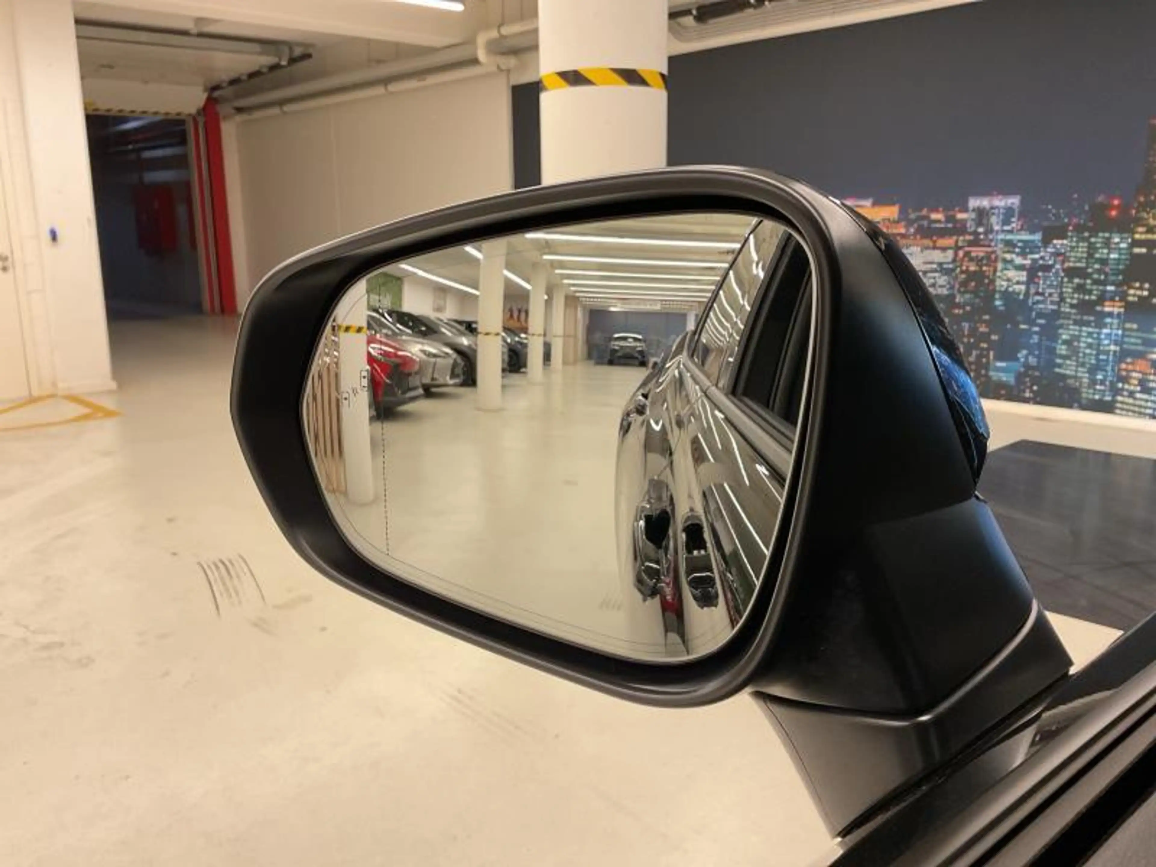 Lexus RZ EXECITIVE LINE — photo 12