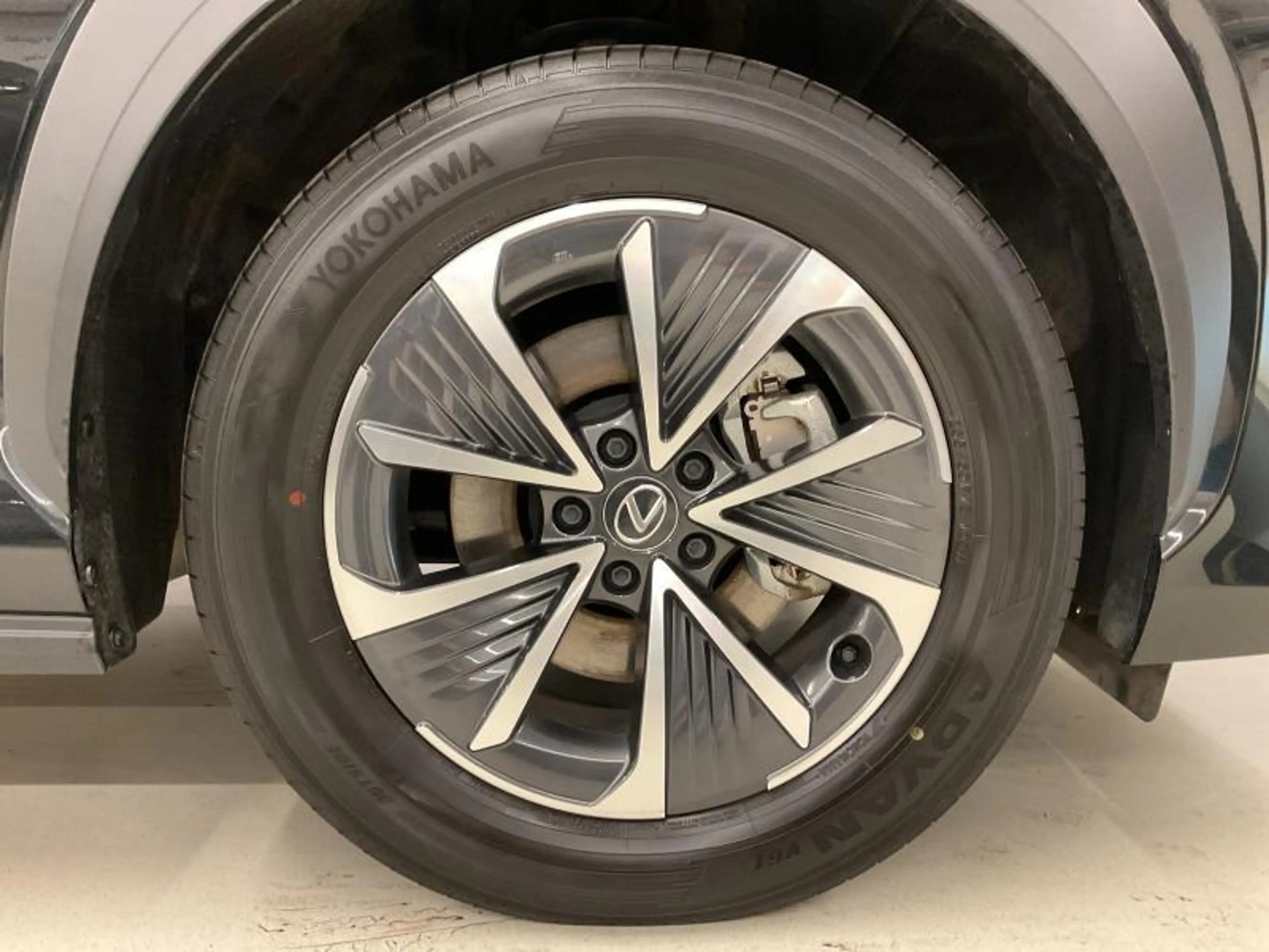 Lexus RZ EXECITIVE LINE — photo 21