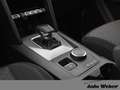 Volkswagen Amarok 2.0 TDI 151 kW Doppelkabine 4Motion EU6d DC Life 2 Blanco - thumbnail 13